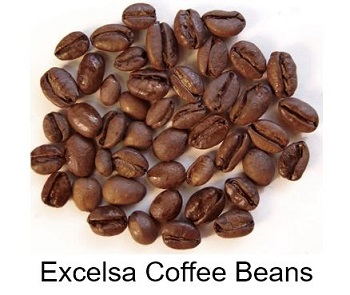 Excelsa-coffee-beans